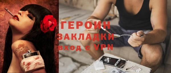 дживик Бородино