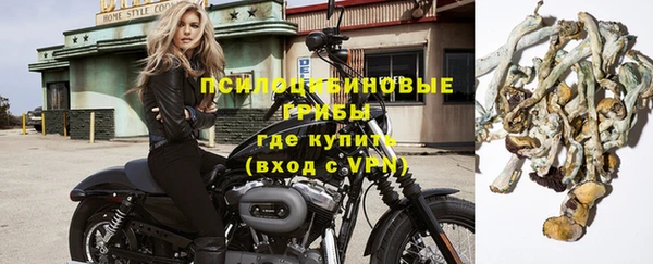 крисы Наволоки