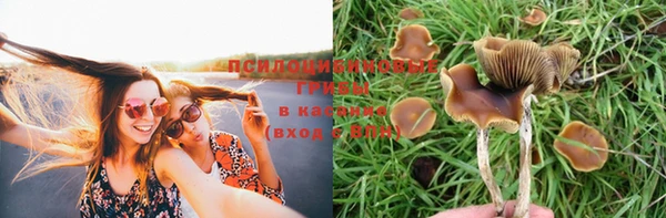 таблы Богородск