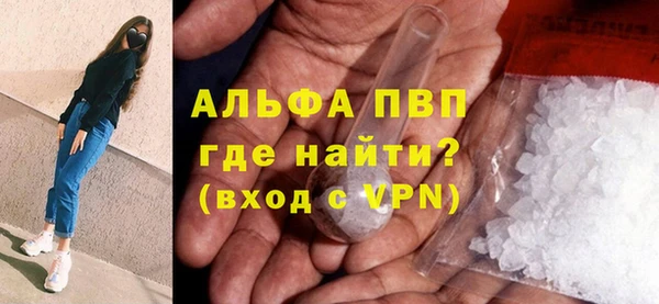 дживик Бородино